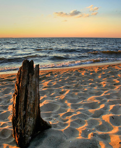 A Chesapeake Bay beach